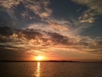IMG_0254.JPG IMG_0254.JPG