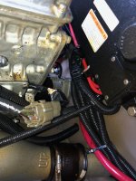 IMG_4790.jpeg