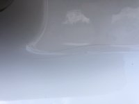 IMG_3310.jpg