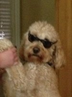 IMG_0329.jpeg
