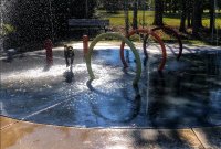 785DF946-7F7C-421E-B632-B7317D81A339.jpeg