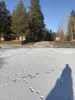 7FA91697-4641-4E6E-91DB-7480D6CE15BA.jpeg