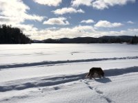 568201E8-6276-4048-A0F0-3C02F61C0843.jpeg