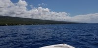 20200229_123114.jpg