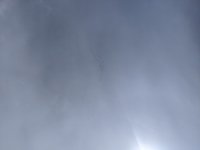 IMG_20200301_145451.jpg