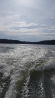 IMG_20200301_151638.jpg