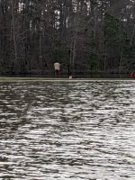 IMG_20200301_155815.jpg