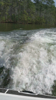 VID_20200301_151706-ANIMATION.gif
