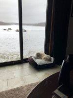 Marley!.jpg
