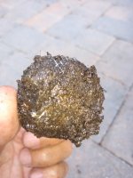 IMG_20200519_110441808.jpg