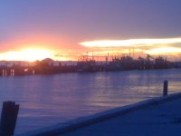 IMG_1363.JPG