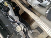 IMG_2358.jpeg IMG_2358.jpeg