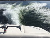 IMG_9558.JPG IMG_9558.JPG