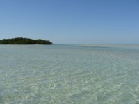 DSC01574.JPG