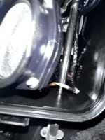 IMG_4498.jpeg IMG_4498.jpeg