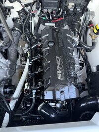 IMG_2646.jpeg