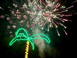 IMG_3020.jpeg