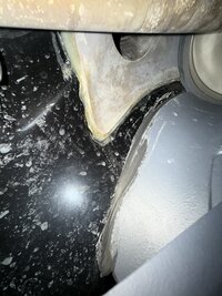 IMG_0294.jpeg