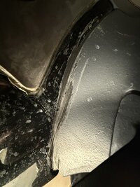 IMG_0295.jpeg