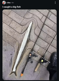 1753058415450.png