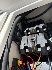 IMG_2643.jpeg IMG_2643.jpeg