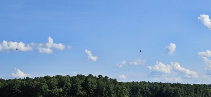 20250721_171222.jpg