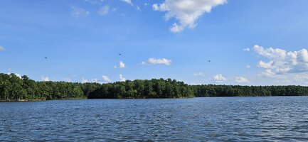 20250721_171835.jpg