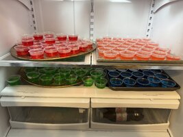 IMG_8171.jpeg