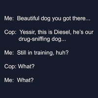 1753213890509.png