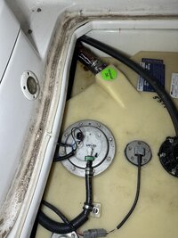 IMG_7982.jpeg