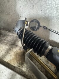 IMG_3898.jpeg