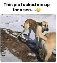 1000040622.jpg
