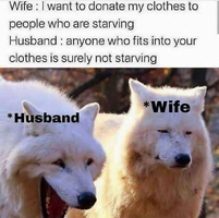 1753482175599.png