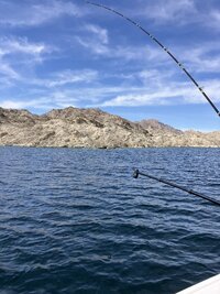 IMG_7418.jpeg