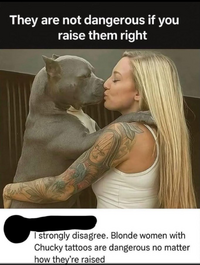 1753560261533.png