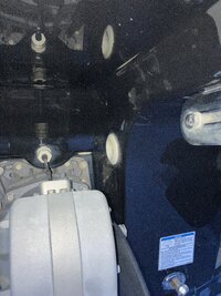 IMG_9021.jpeg