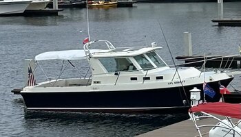 IMG_2427.jpeg