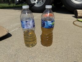 IMG_8364.jpeg