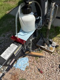 IMG_8363.jpeg