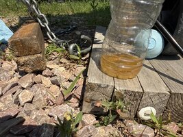 IMG_8365.jpeg