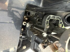 IMG_1478.jpeg