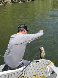 IMG_4356.jpeg