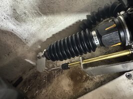 IMG_3913.jpeg