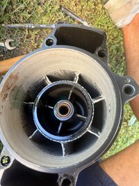 IMG_5697.jpeg