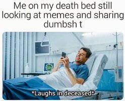 1000040993.jpg