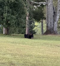 IMG_5753.jpeg