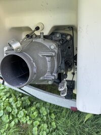 IMG_8457.jpeg