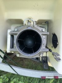 IMG_8460.jpeg
