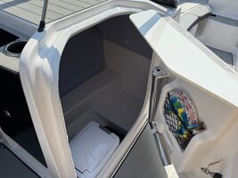 IMG_0203.jpeg