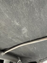 IMG_3303.jpeg